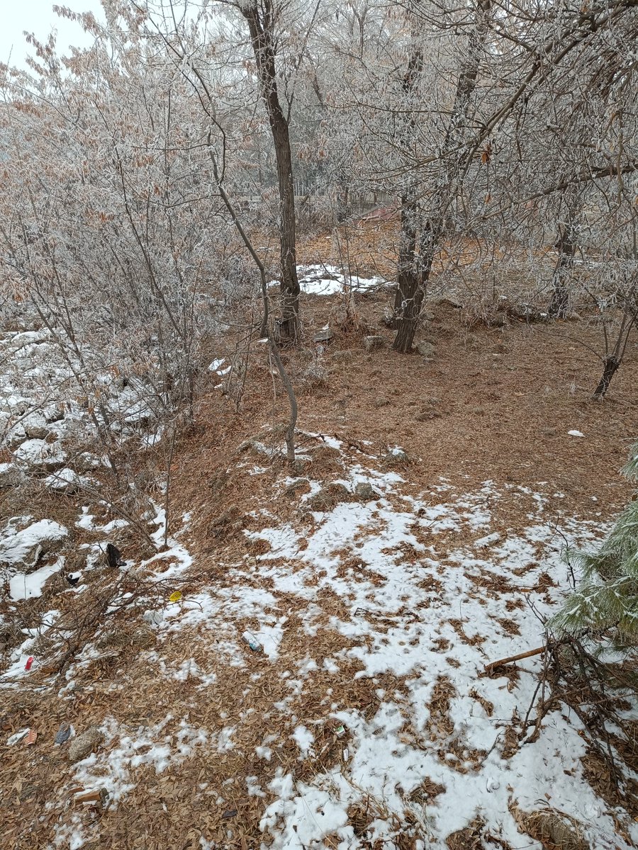 Hulusi Duymaz (@duymazhulusi) on Twitter photo 