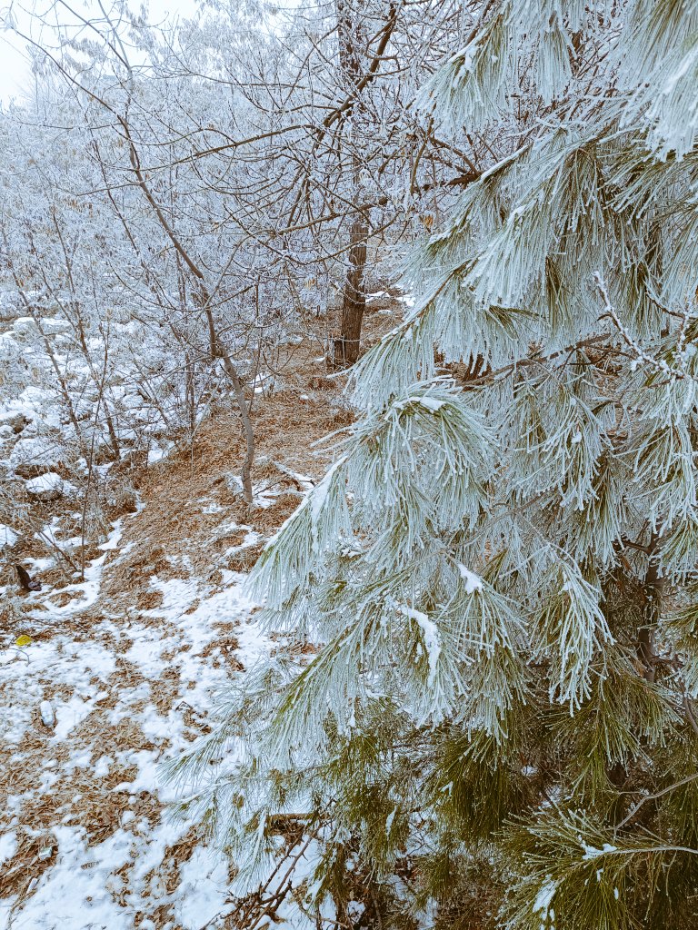 Kış soğuk ve güzel