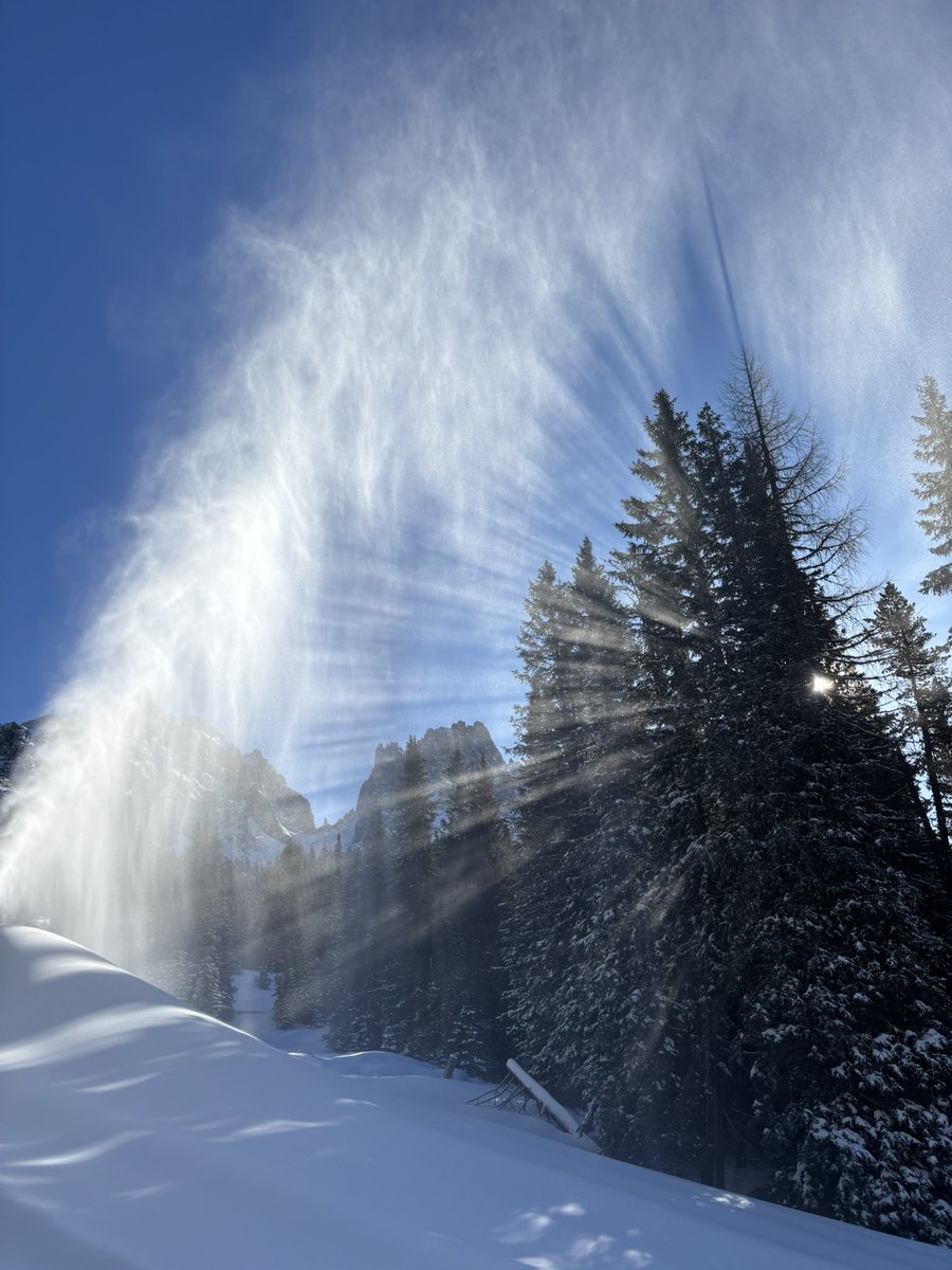 Blazka • Lifethology tweet media