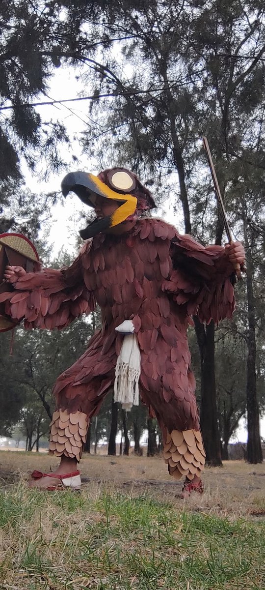 Tezcacoyotl's tweet photo. Evolución de un Cuauhpilli 1521-1551
#recreacionhistorica #History #Historia #mexico #1521 #tenochtitlan #cuauhpilli #guerreroaguila #caballerotecle #tecle https://t.co/auY2LVlPmA