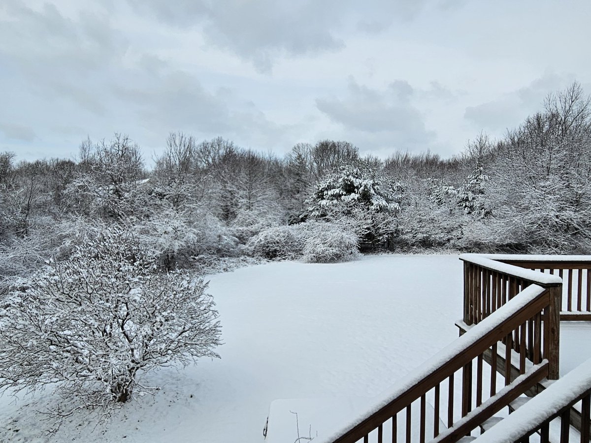 DrWhalen3's tweet image. #backyardvibes #backyardbliss