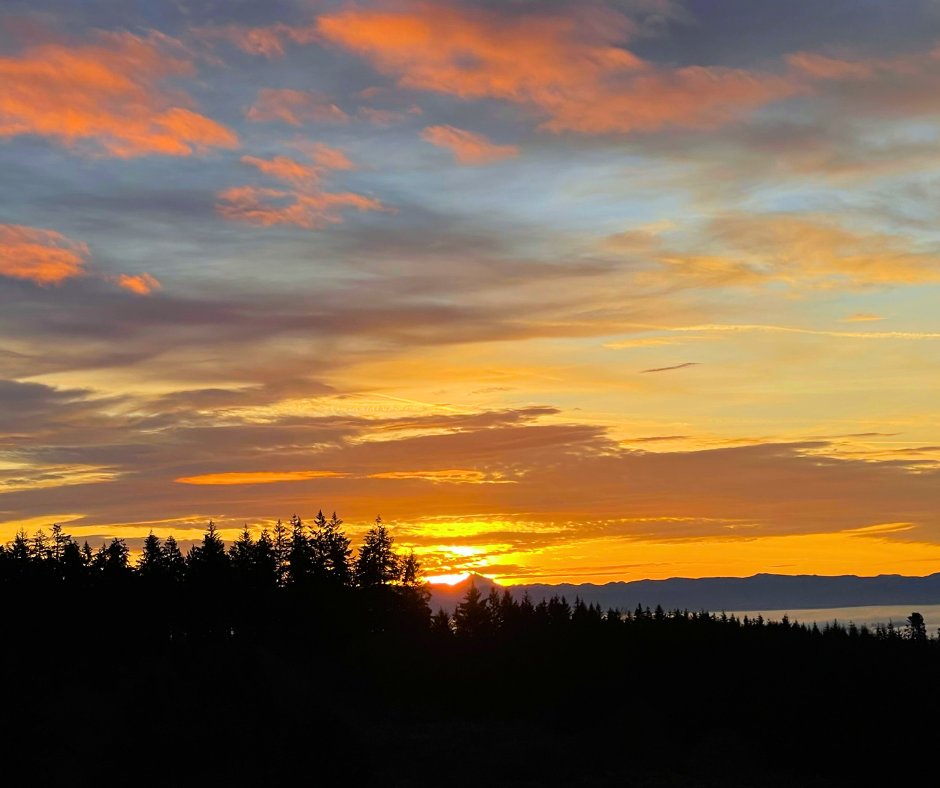 langewinery tweet media