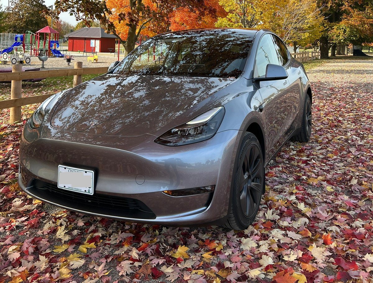 🎗️Binskii.eth 🤝 tweet media