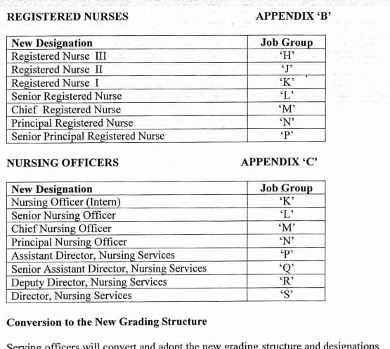 Dear Nurses, 

These are your current designations. 

Stand against exploitation and discrimination. 

Long live Nursing Profession.