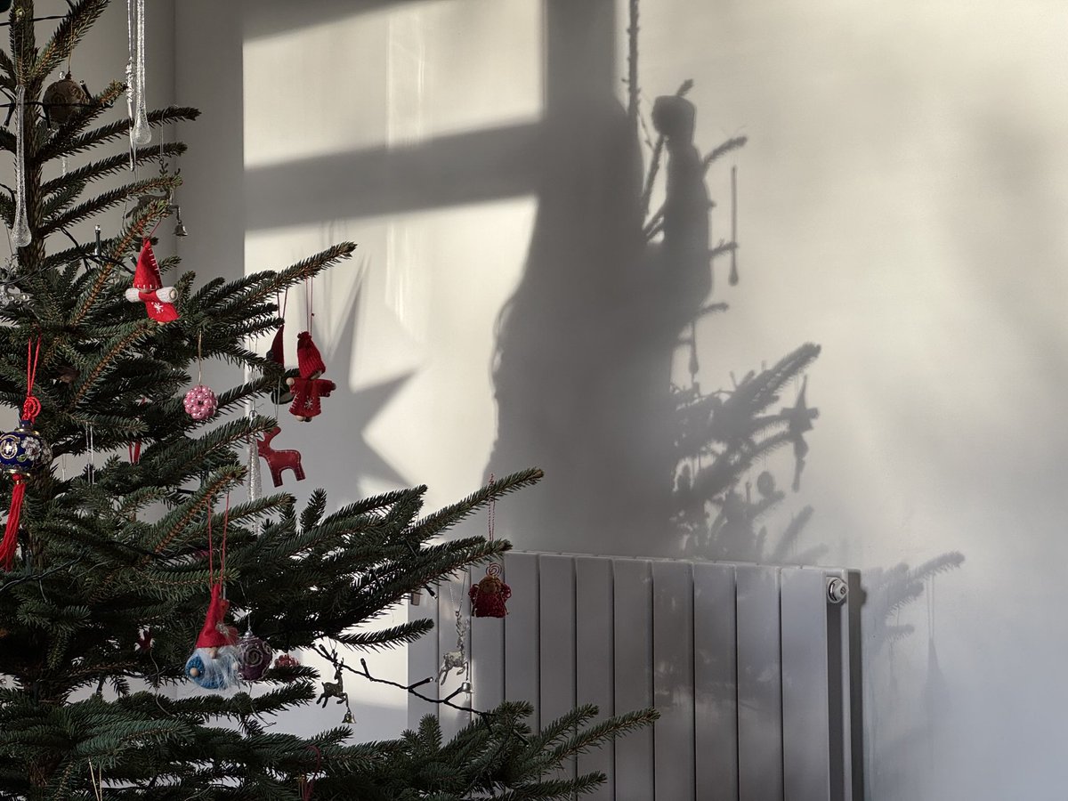 Decorating the tree in the light of the year’s lowest sun