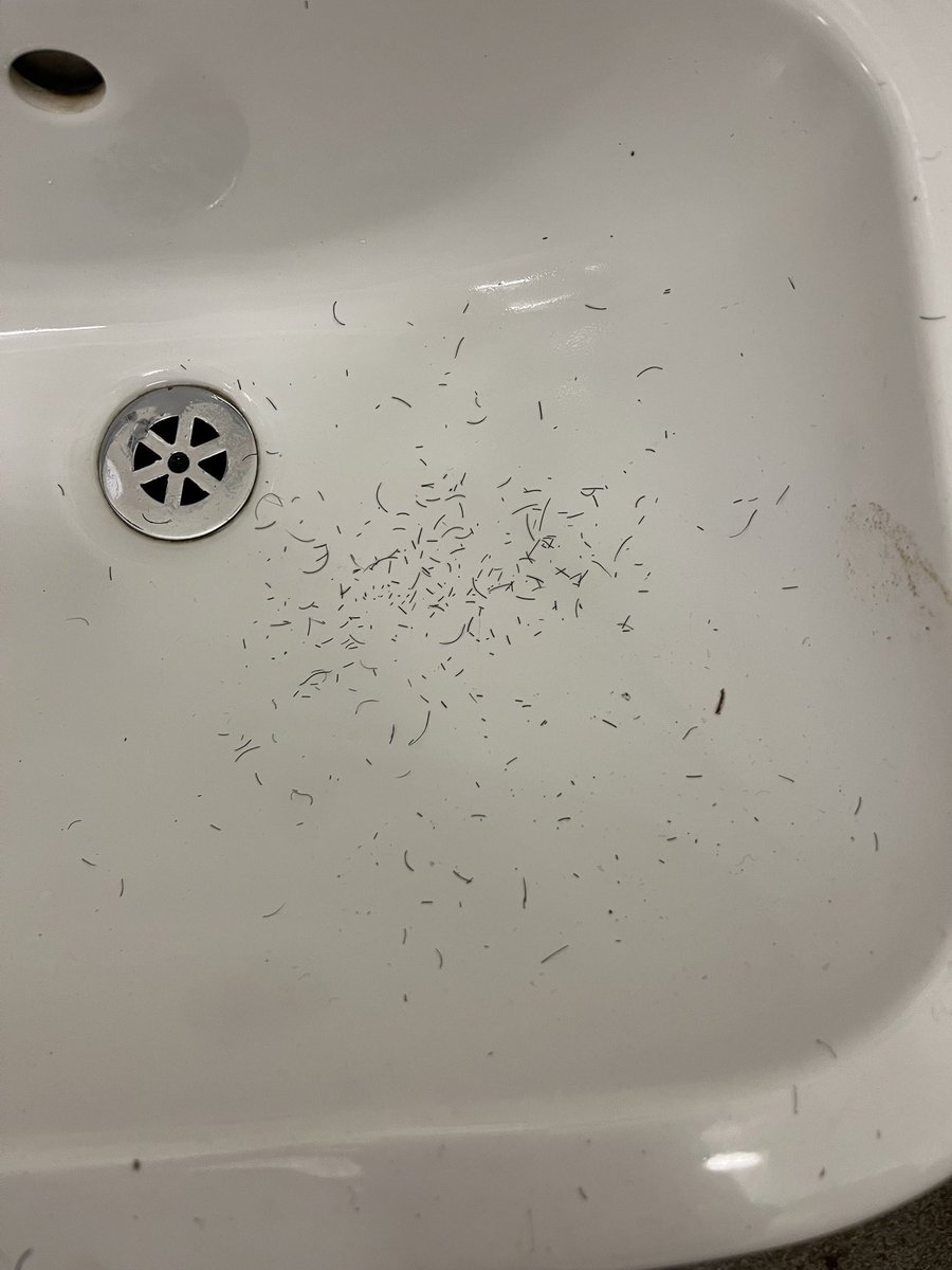 tallanburns tweet media