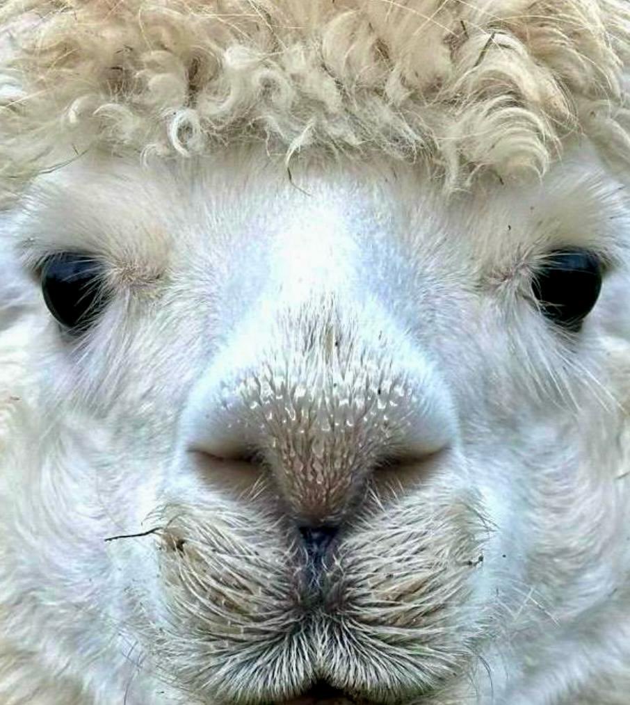 Es ist , wie es ist ...⭐️😇