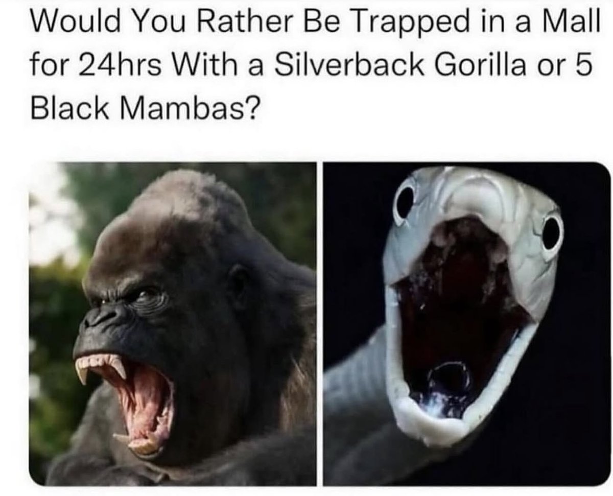 Images That Make You Feel Pain tweet media