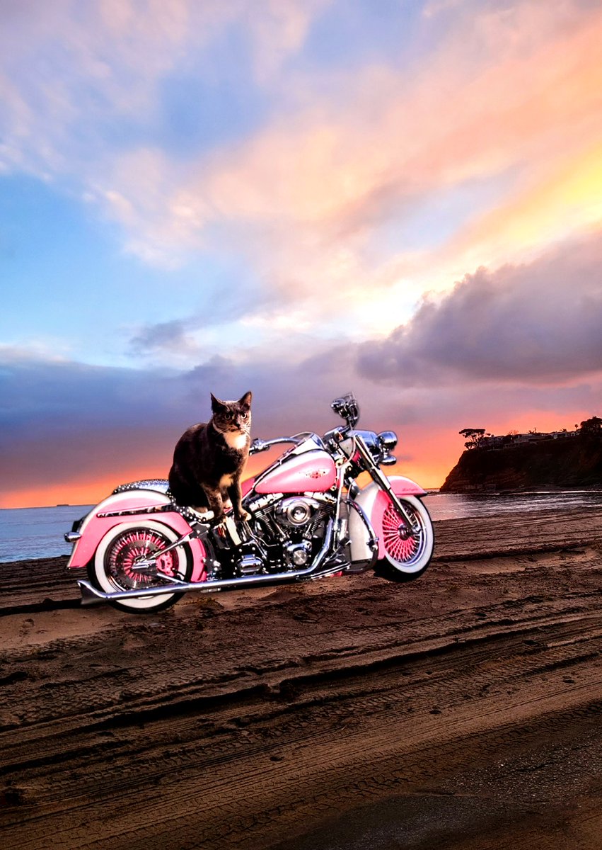 And remember everyone is always welcome to stop by our beach after any ride!!! All are welcome here!!! #theruffriderz