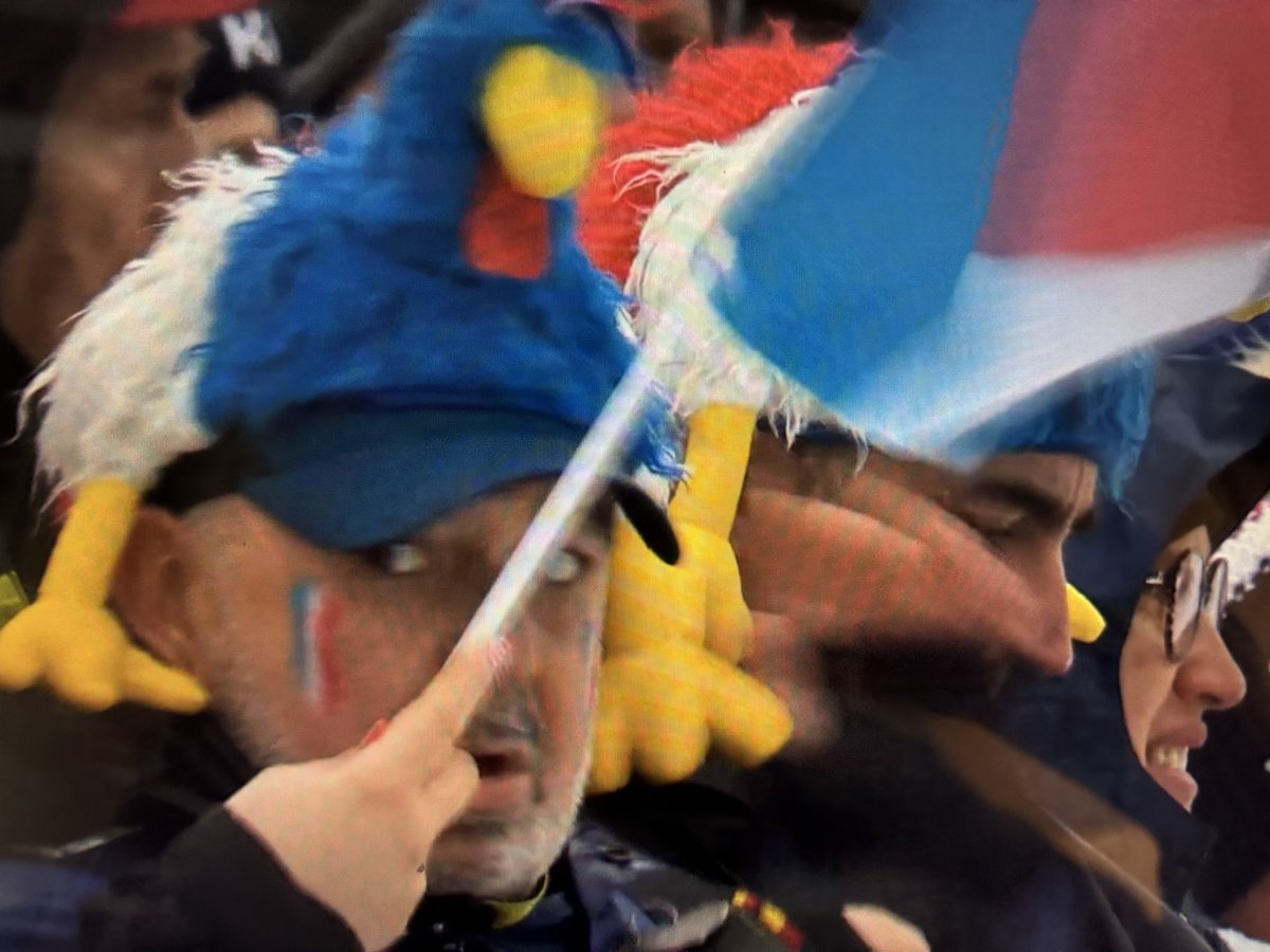 FlyingCloud01's tweet image. More chicken hats. Annecy, France.