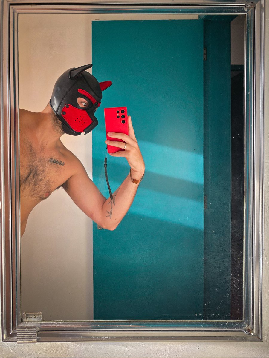 Pup Lazo tweet media