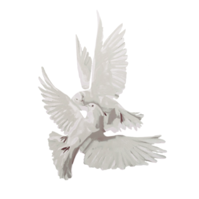 adoreyearn's tweet photo. https://t.co/t0gOhLRp9Z