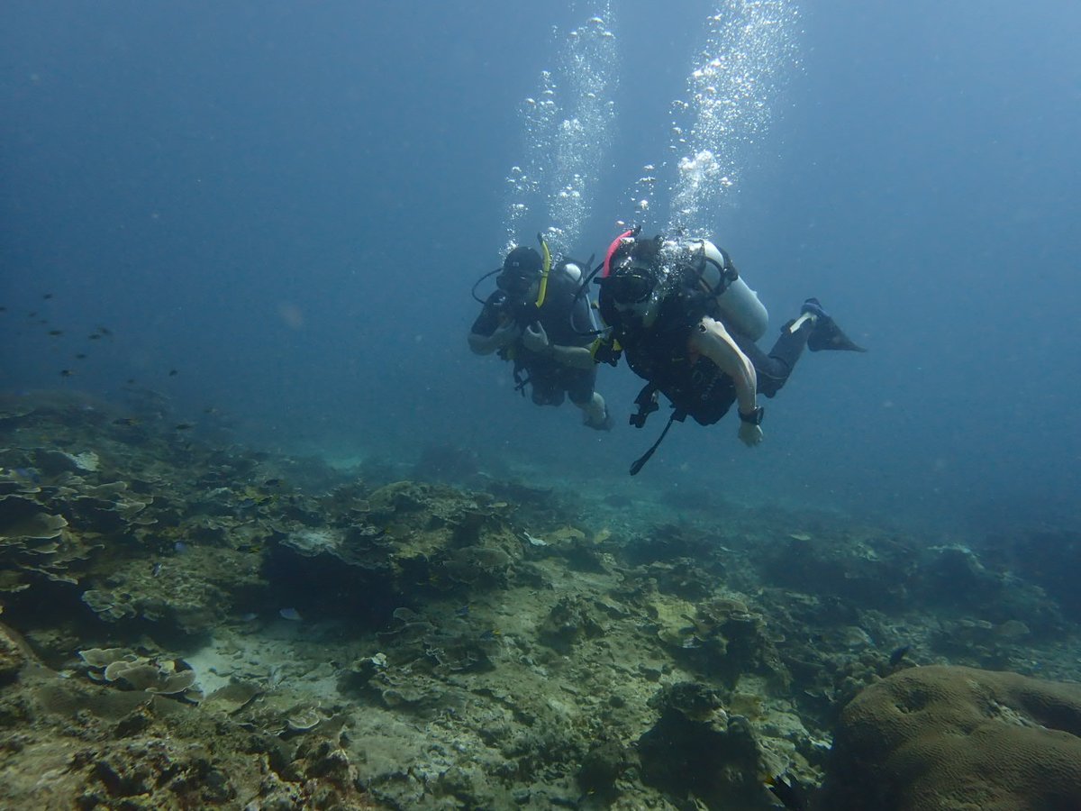 6年前に体験ダイビングを担当したお客様が、今度はお二人になってオープンウォーター講習に帰ってきてくれました。
潜るたびに改善点をお話しして、どんどん上手になっていくお二人。スキルの上達具合を、ブログでご紹介しています✌️
greendiverphuket.com/2024/12/21/12-…
#プーケット #ダイビング #phuket #diving