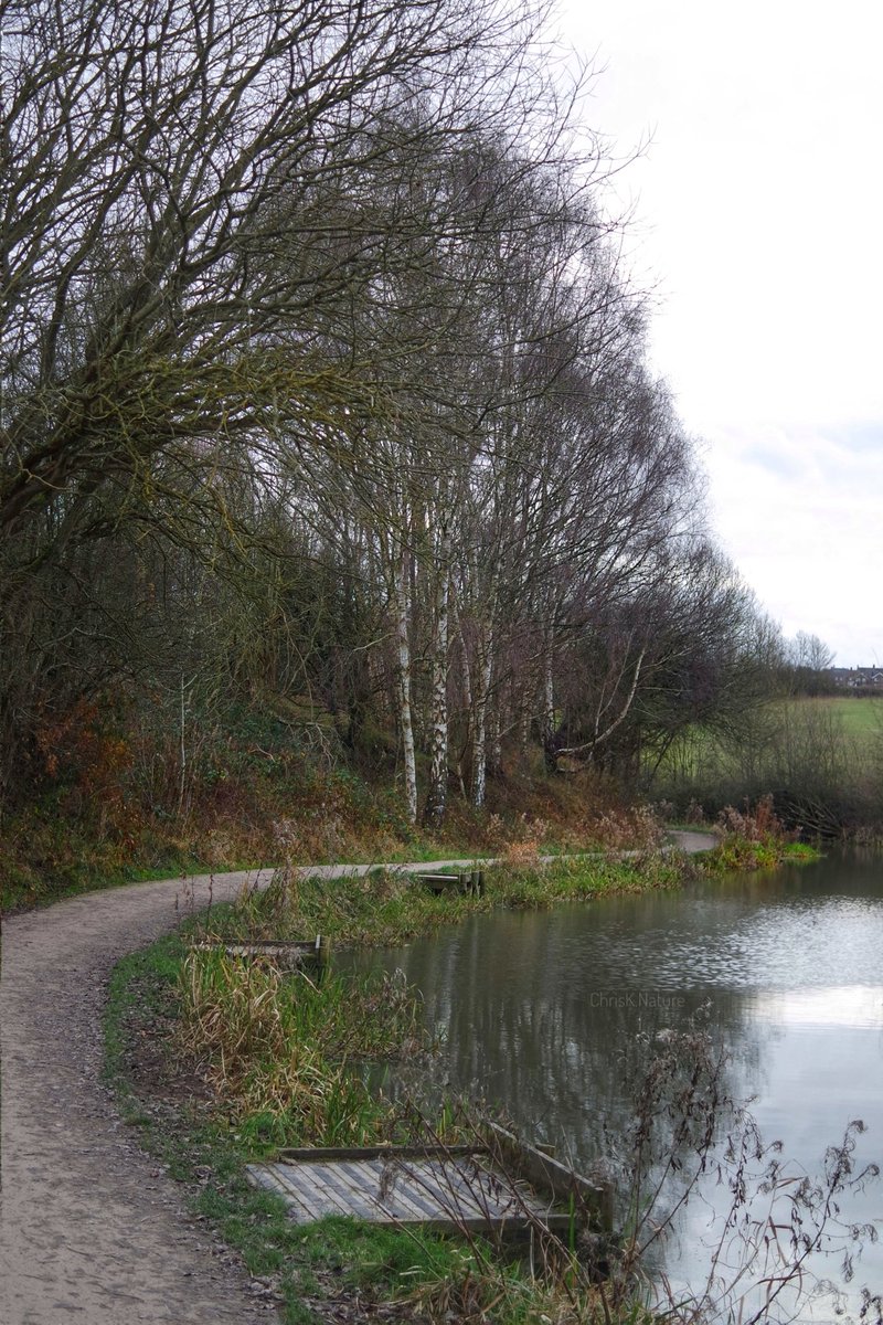 chrisk_nature's tweet photo. Along the #ChesterfieldCanal #TransPennineTrail nr #Staveley #Derbyshire
It was a miserable weather day βΉοΈ https://t.co/bqs2SJlf1e