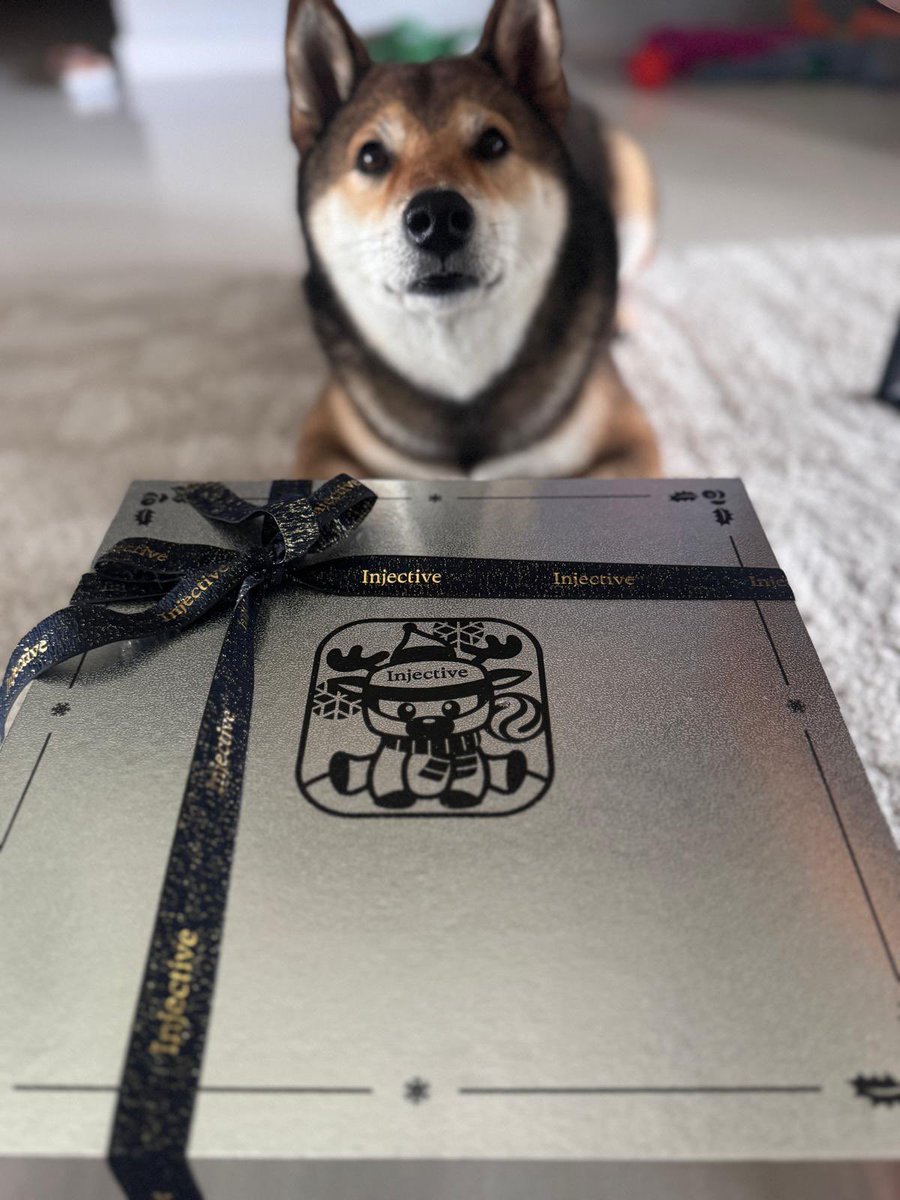 ganchu1987's tweet photo. Looks like I’m not the only one excited to open the Injective merch box! Happy holidays fellow Ninjas! @injective https://t.co/bWmcIp2dZO