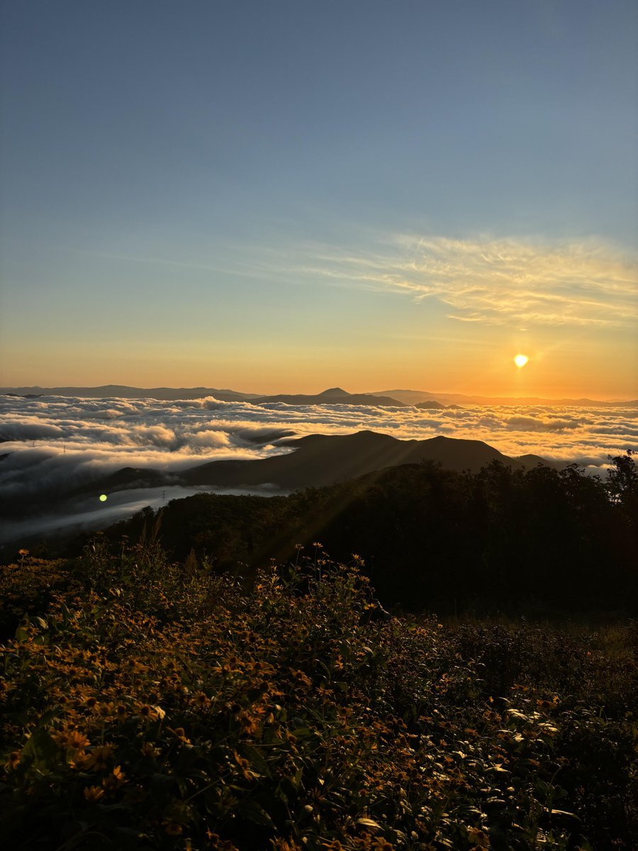 #해돋이 매일이 새로운 시작입니다! 밝은 태도로 모든 도전에 맞서자