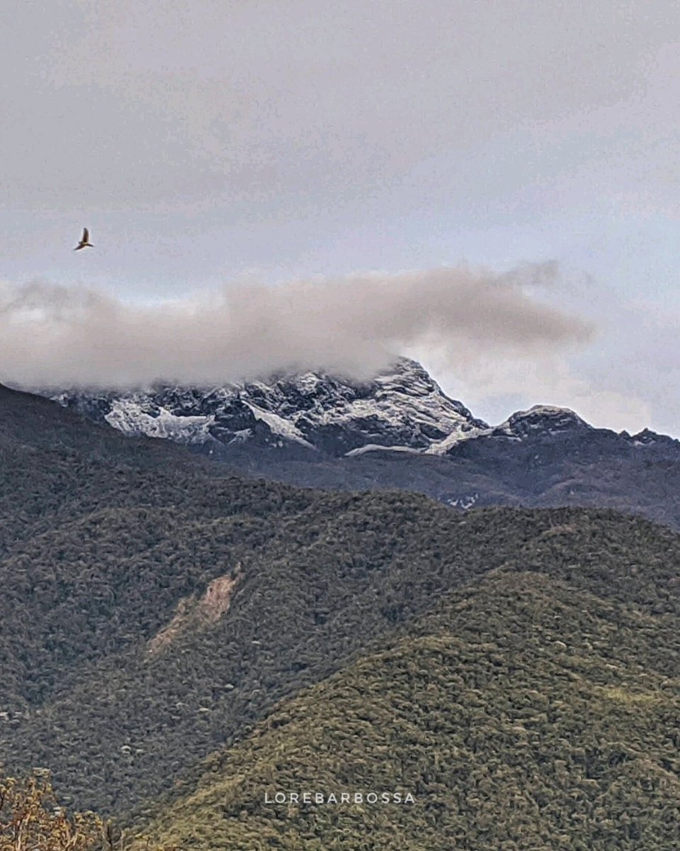 ✨🌅 La Magia de un Instante 🌅✨
A veces, la vida nos regala momentos tan perfectos que solo podemos detenernos a admirarlos. En esta primera foto, capturé esa hora mágica donde los colores se entrelazan y crean "el sol de los venaos". Un momento fugaz que vale la pena recordar.