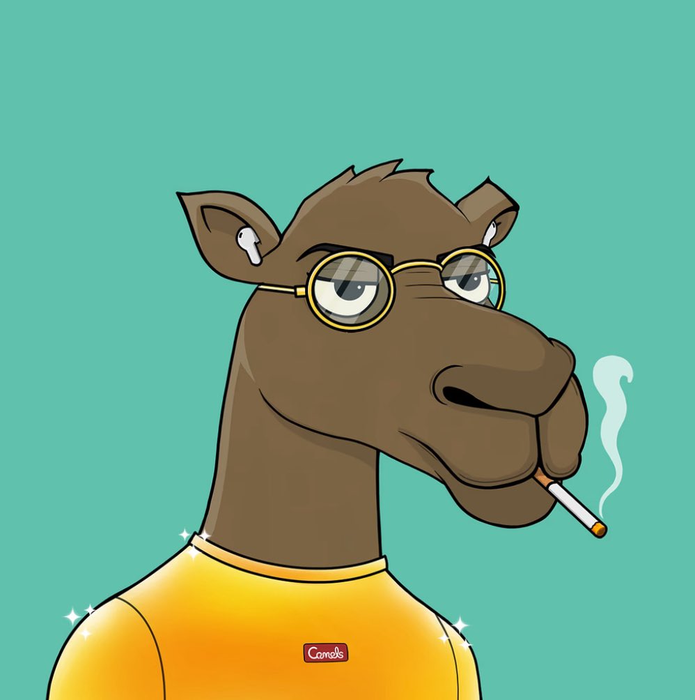 I saw this camel on the floor and had to pick it up. Let’s go! 🔥 #CamelsFam 🐪