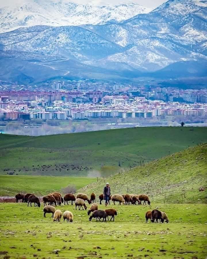 Norm Fazlası Muşlu (@Kirkdokuzuncu49) / Posts / X