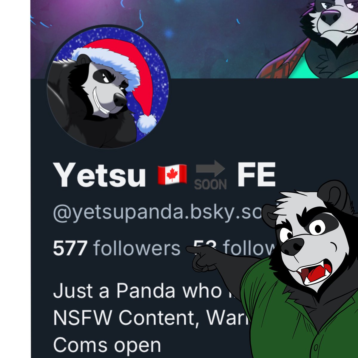WonkyYets tweet media