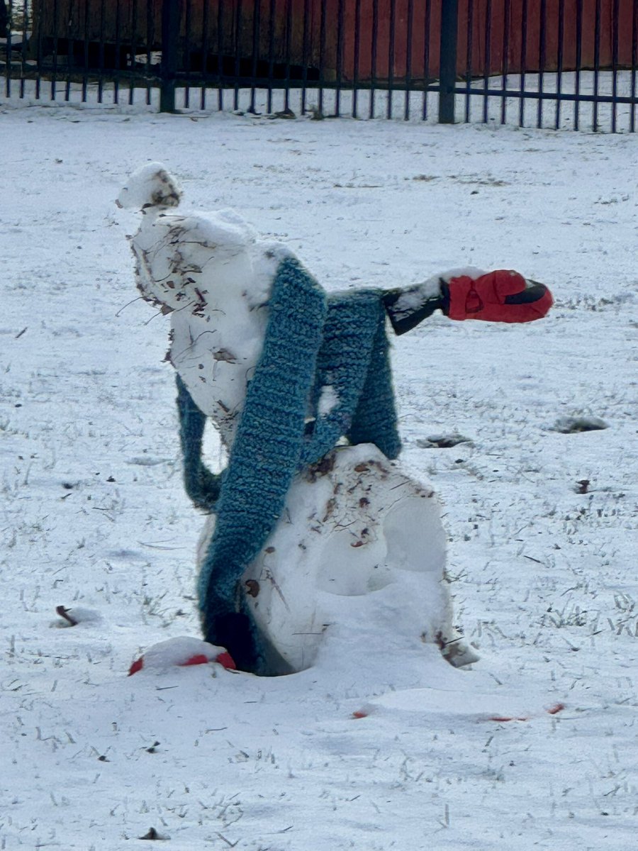 Nabil K. Mark tweet media