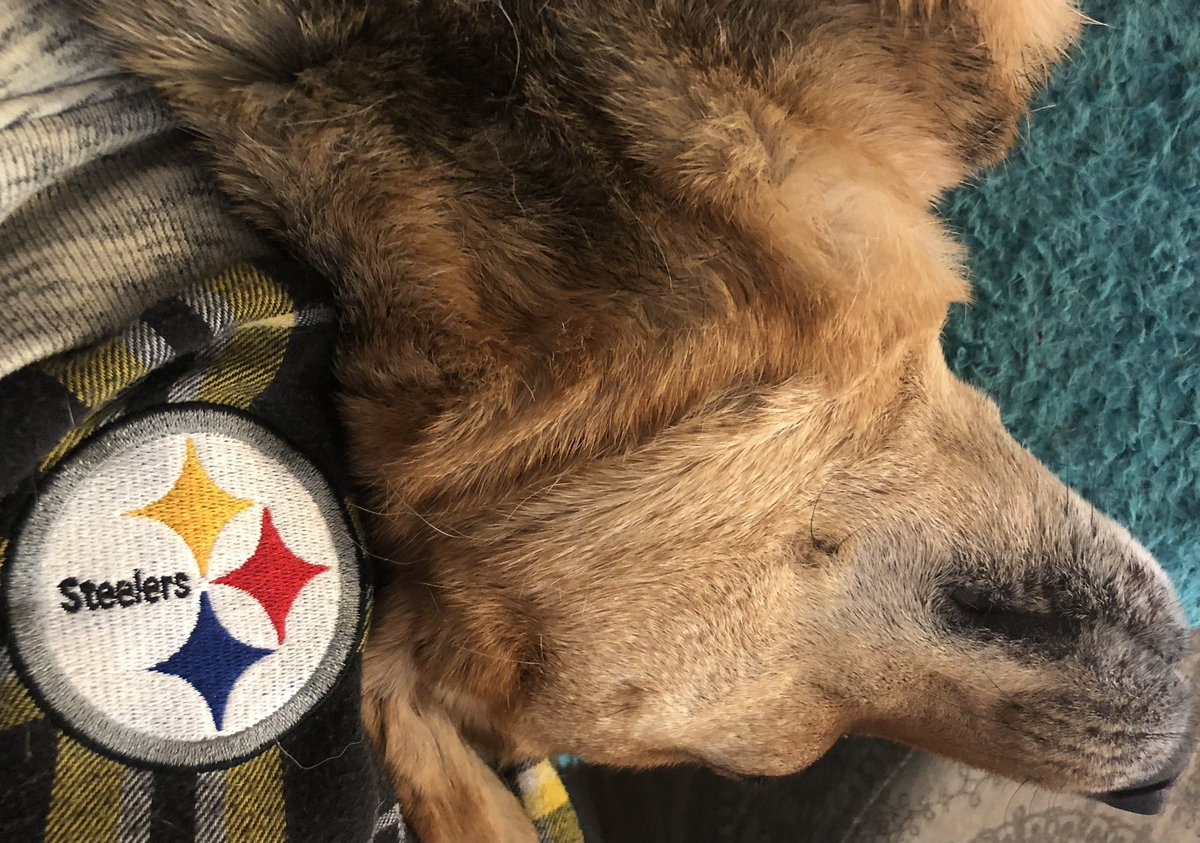 Robert2Wesley's tweet photo. Jax says “Relax, we got this!” #HereWeGo https://t.co/SsNG8OfXgE