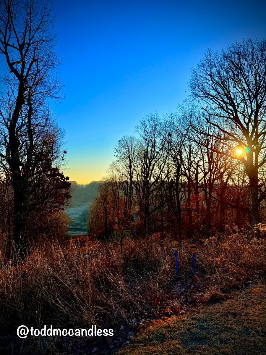 toddmccandless's tweet photo. It’s a busy holiday weekend and even the deer are rushing out for last minute gifts. The forest is running a BOGO special on acorns this year…sure, it’s low-margin product but clearly a volume business. nearly 98% of its sales are from word-of-snout #DawnPatrol #DogWalk https://t.co/fopImMIwtH