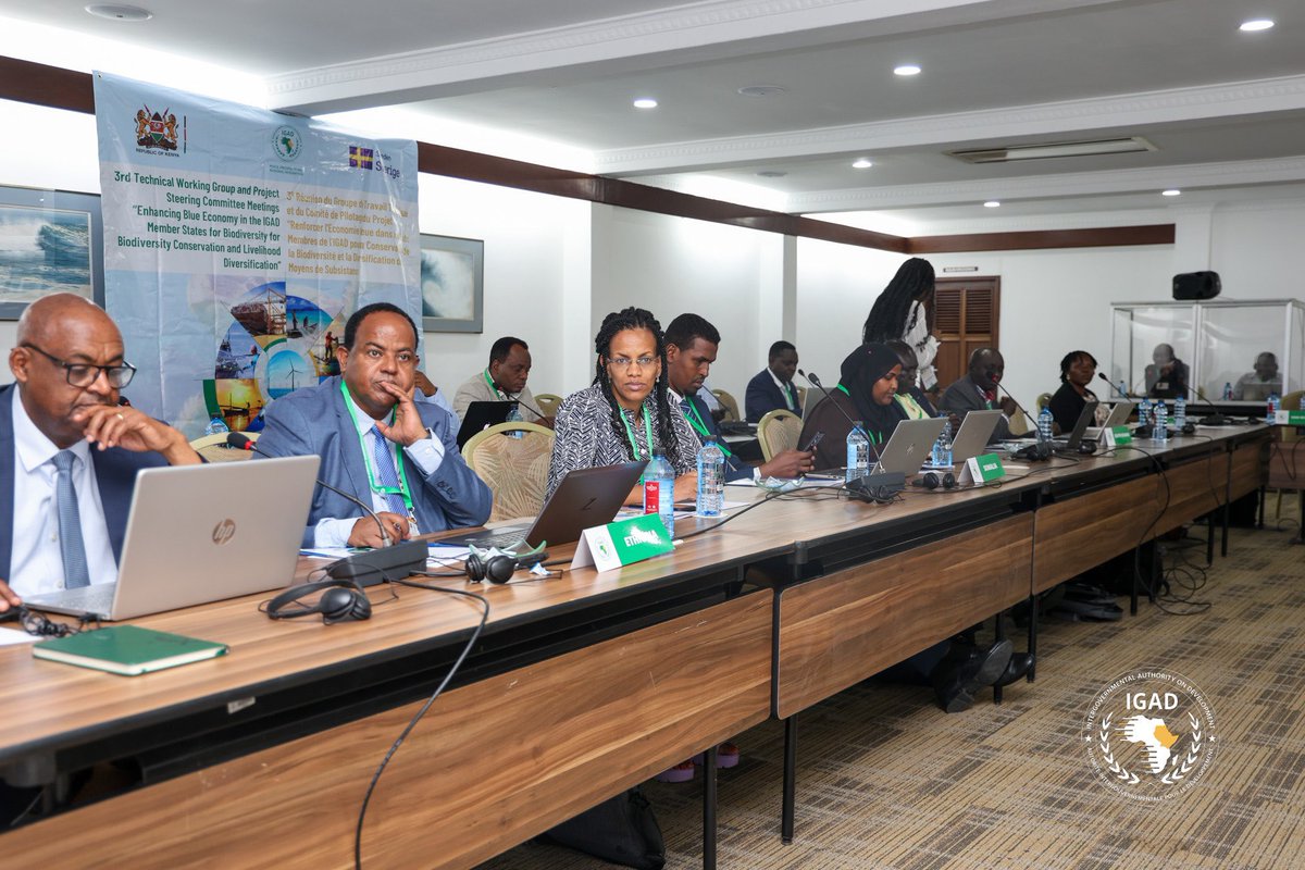 RMaracade's tweet photo. Honored to have led Somalia's delegation at the IGAD BE #PSC Meeting in Mombasa. As the D of the BE Dept & NBEFP, Shared progress on institutionalizing the BE and it's Governance developing #NBES Somalia's commitment to incorporating the BE into our sustainable devt agenda 🌊 https://t.co/Av1cGg4Pw5