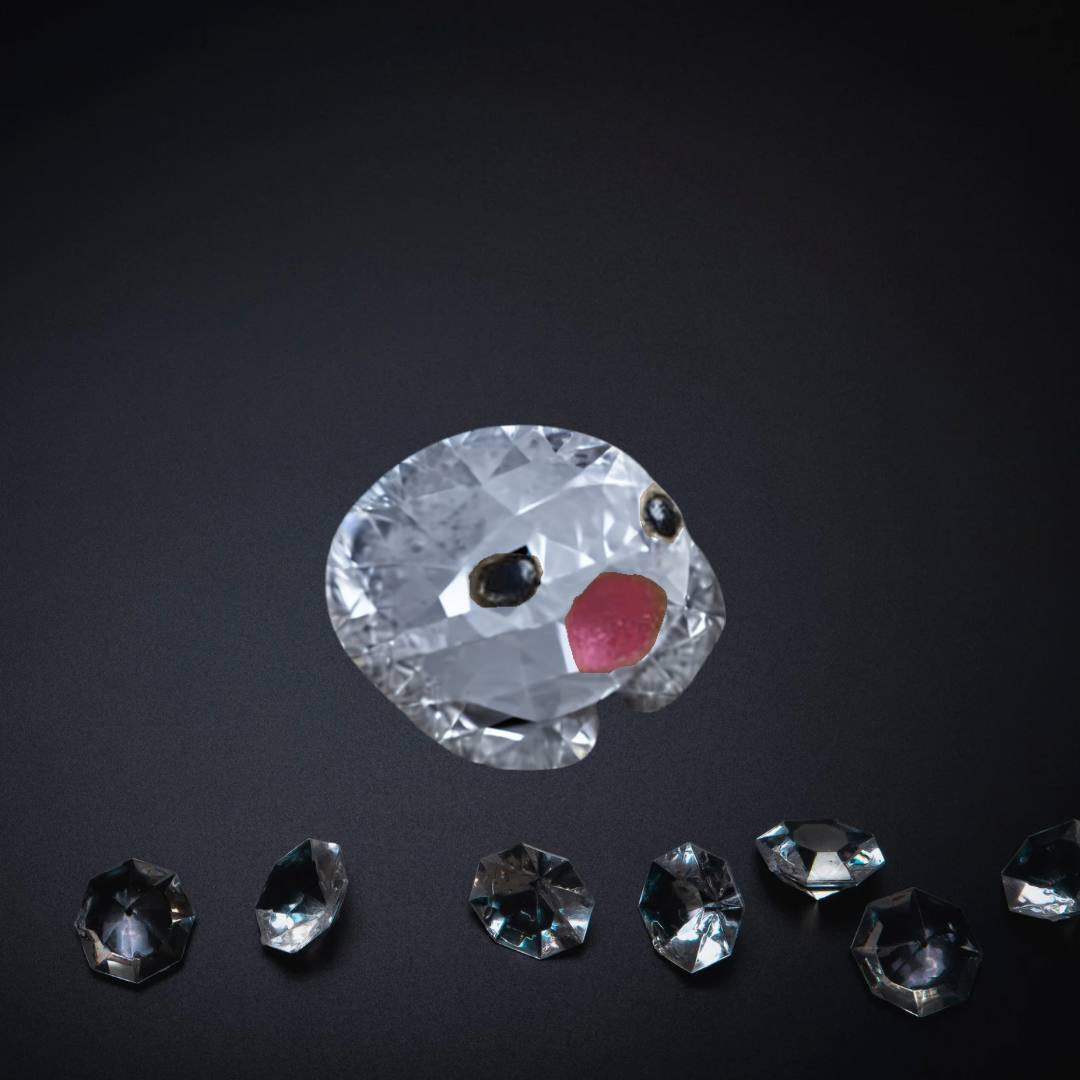 <a href="/DustBagDe/">DustBag</a> $POPO community is