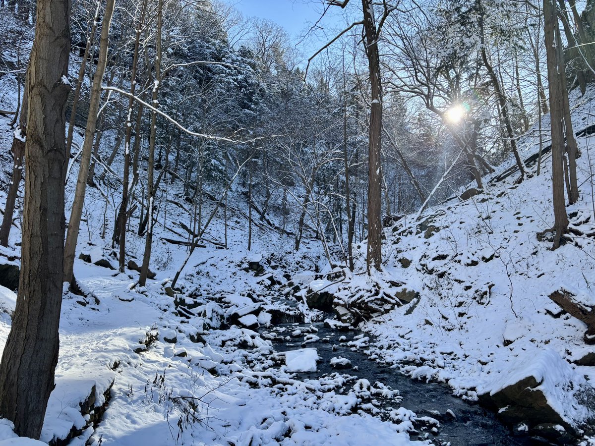 E. Bruni tweet media