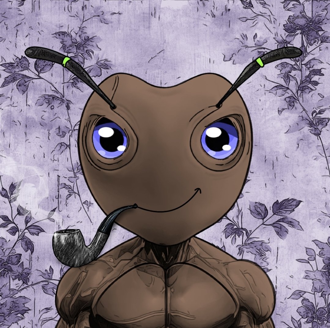 xJum ⚡ tweet media