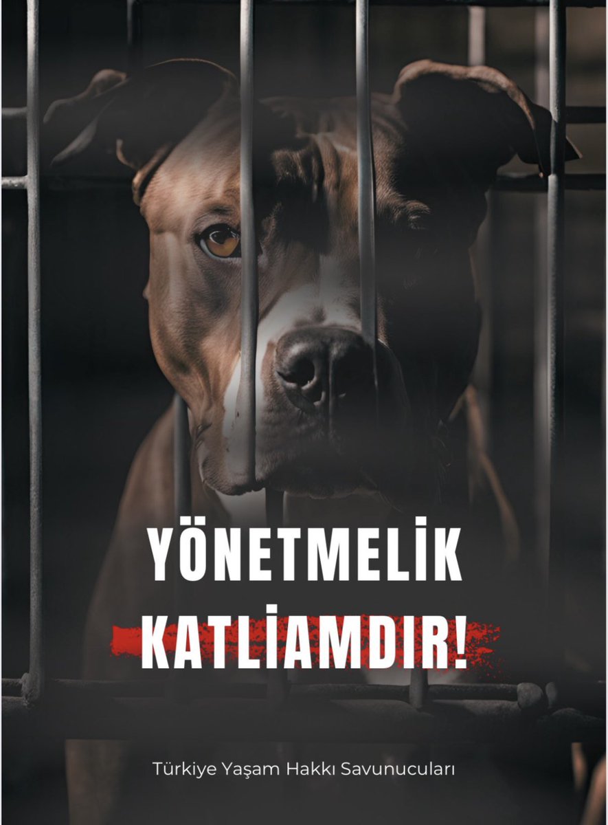 Özgürlükleri, yaşamları için mücadele ettiğimiz hayvanlar adına yeniden, daha yüksek sesle bu yasaya ve yönetmeliğine ‘hayır’ diyoruz..
<a href="/AYMBASKANLIGI/">Anayasa Mahkemesi</a> #AymYasayıİptalEt