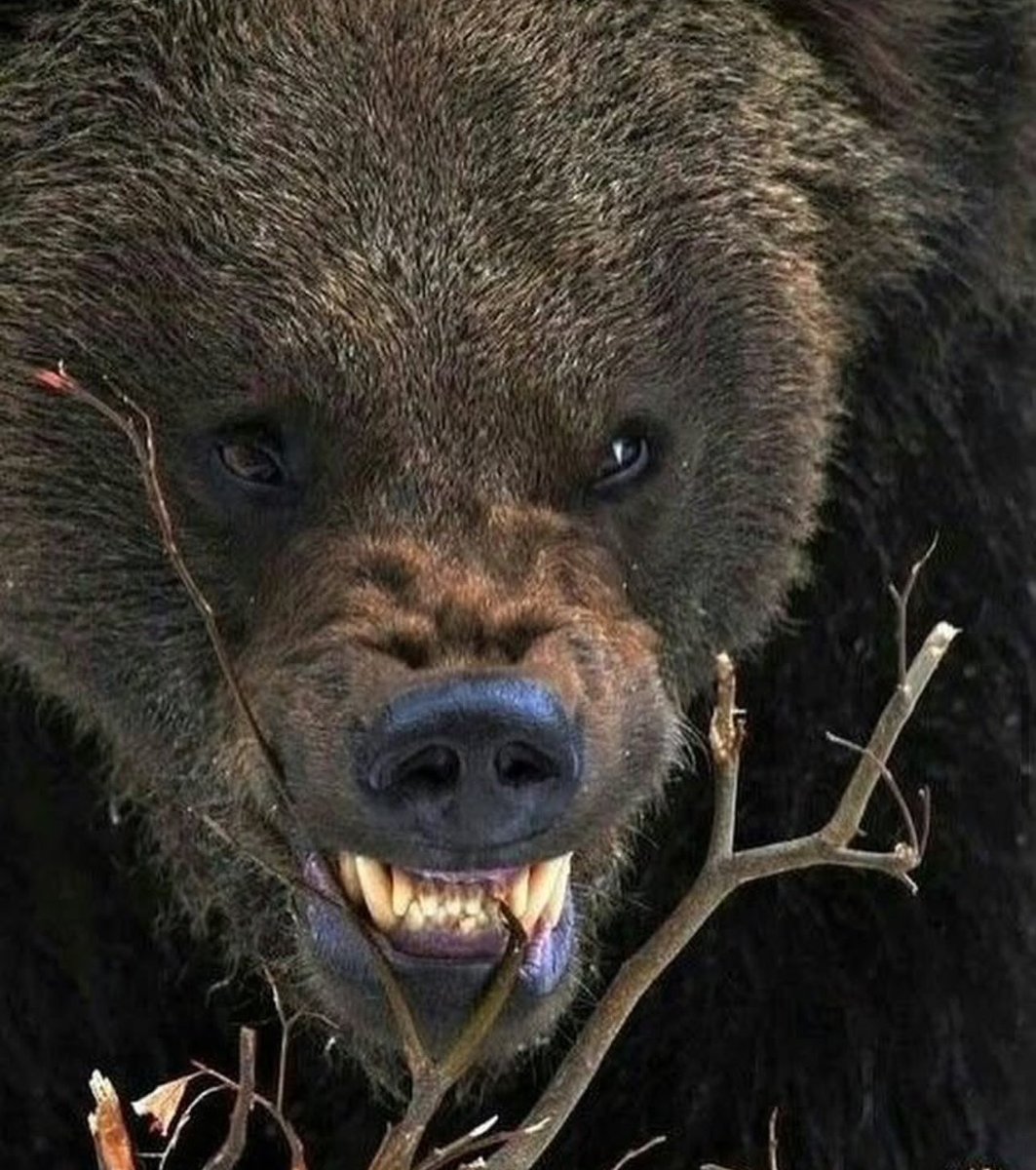 Jordi Hays tweet media