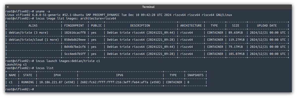 stgraber's tweet image. And so it begins! #Incus #riscv64