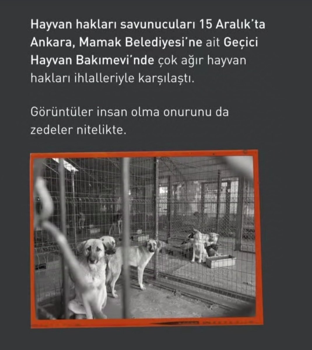 Barınak koşulları korkunç. Barınakları ziyaret ve takip etmeye devam edeceğiz. Barınak önlerinde nöbet tutan tüm gönüllülere destek olacağız.

Hayvanseverlerden nefret etmeyin! Bizim, görevini layıkıyla yerine getiren hiçbir kamu görevlisi ile problemimiz olamaz #AymYasayıİptalEt