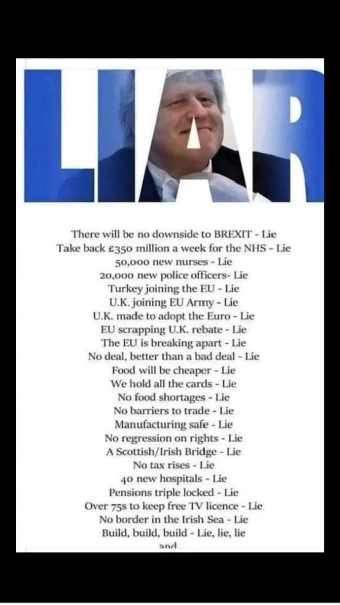 robertajane_U's tweet photo. @NicholasTyrone He should be sued for slander? #LiarJohnson #boristheliar #knownliar #shapeshiftingcreep #Johnsonliedpeopledied #boristheButcher #partygate https://t.co/dLV5xif7Cd