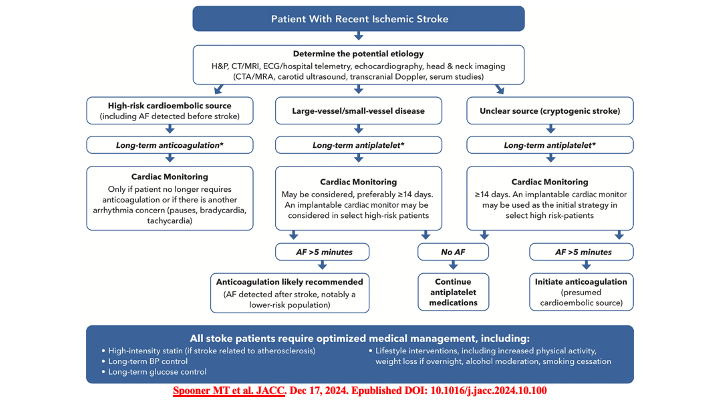 drraviele's tweet photo. 📌 Post-stroke ECG monitoring 
👉 When and why❓ 
🔷 A 2024 ACC Expert Consensus Document
#afib #ECG #stroke #CardioTwitter @PassmanRod @SeguraCardio @guroledip @netta_doc @leftbundle @DrMarthaGulati @SposatoL @AndreaRussoEP @DrJasonAndrade @DhirajGuptaBHRS @Hragy @JagSinghMD https://t.co/gGPvYhiEBX