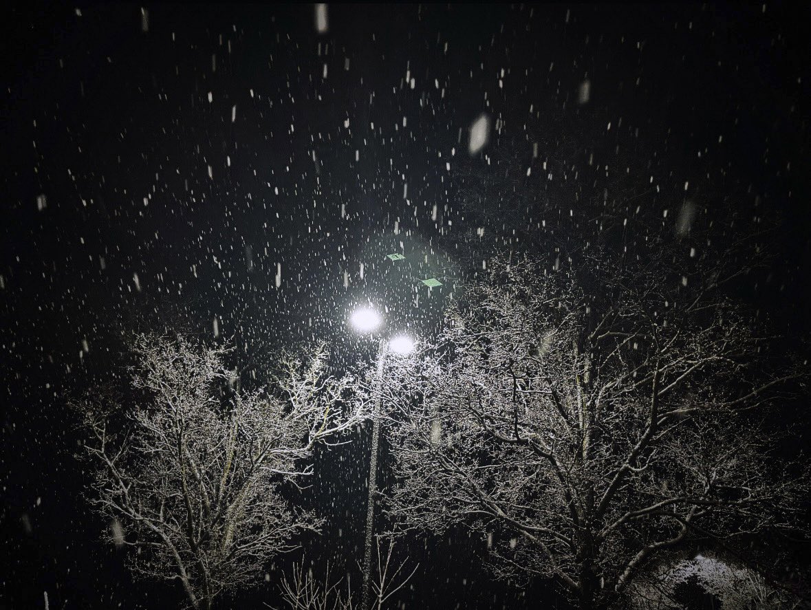 ViNo Secrets tweet media