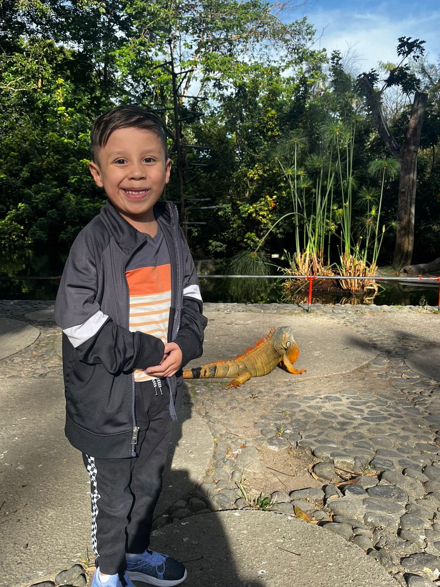 Richard G. Ohye, M.D tweet media