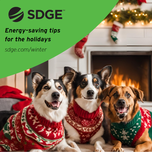 United Way San Diego tweet media