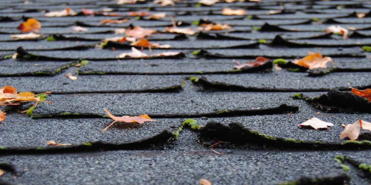 Don't wait until you need buckets to pay attention to your roof. Here are eight signs that indicate it's time for a replacement!

westernproducts.com/blog/replace-y…