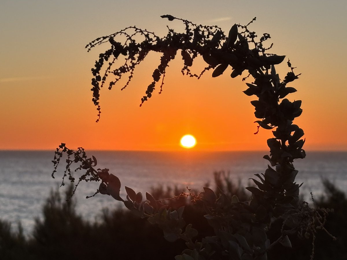 Happy #WinterSolstice!

Pic taken today  📸:<a href="/tessr/">Tess Robeson</a>