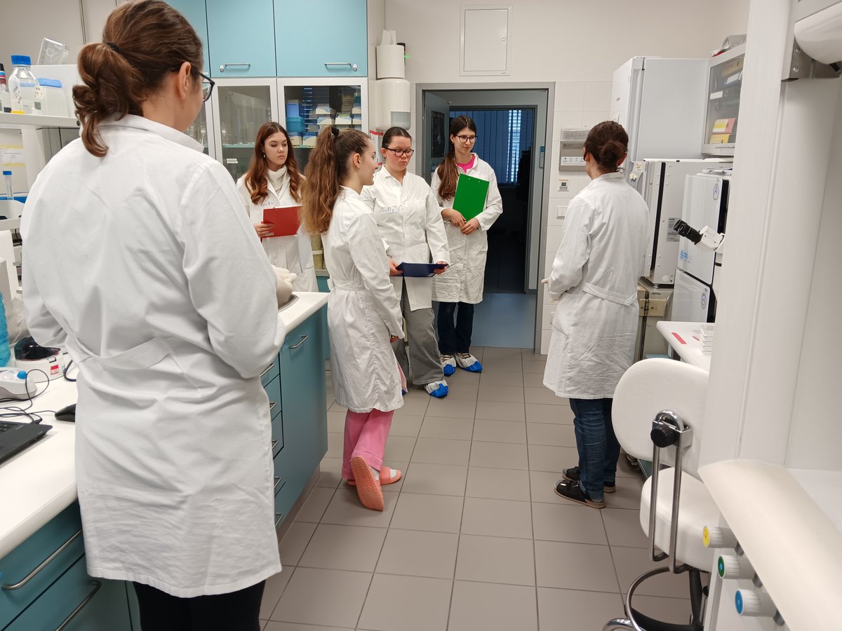 Cell and Tissue Toxicology tweet media