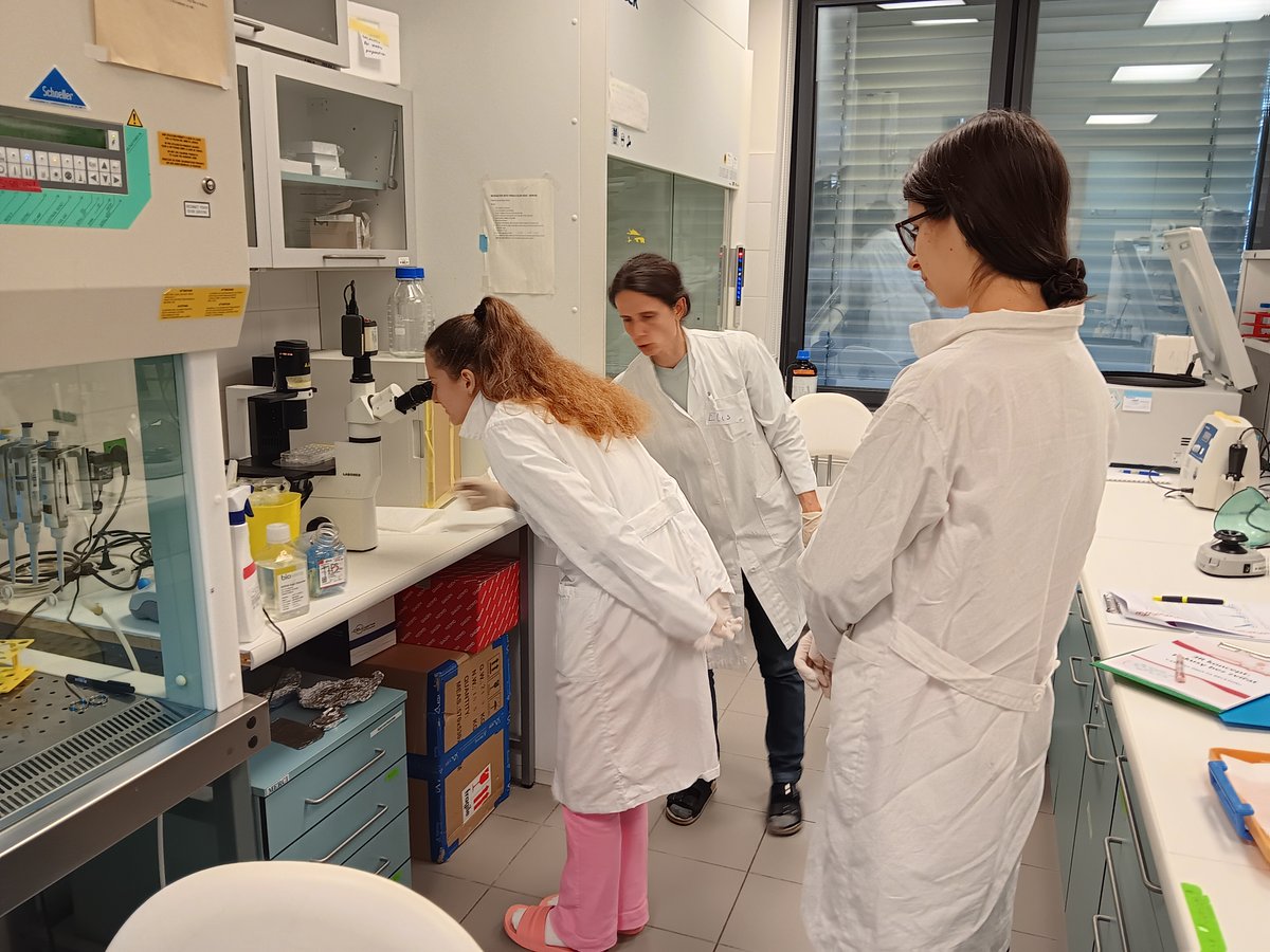 Cell and Tissue Toxicology tweet media