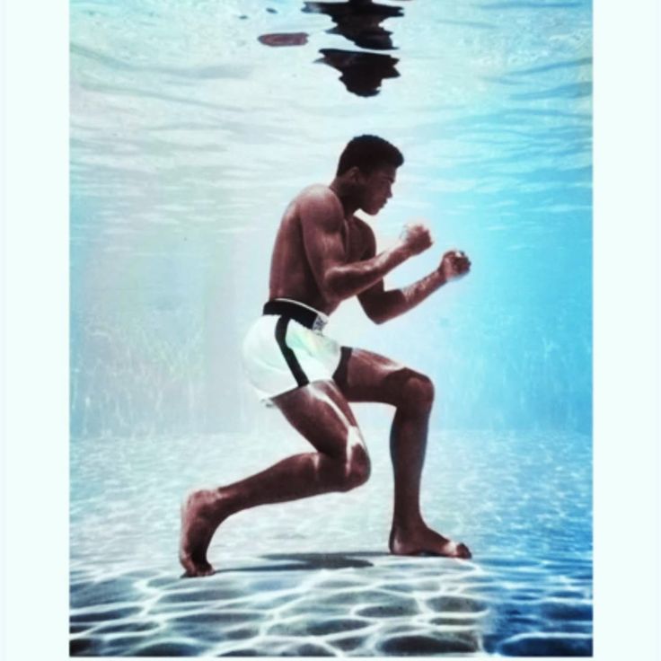 aestheticprimal's tweet image. your ability to keep your muscles and tendons 'relaxed' can be a direct measurement of how ALIVE you are

the more relaxed you can keep a muscle, the faster and more powerful it can contract, this is what makes athletes so special, able to snap their muscles at a split second.…