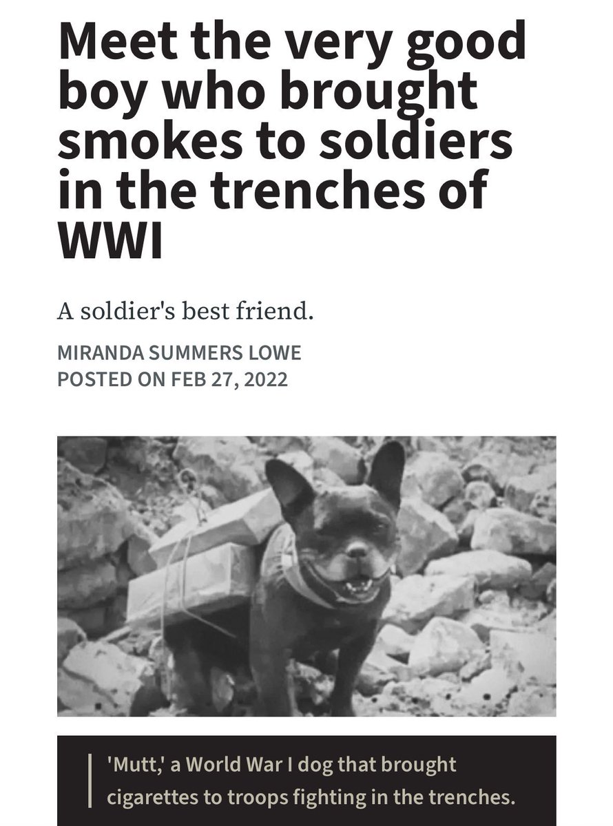 dog deserves more(someone pls cto)

First Dog in The Trenches

CosT6tMvy6v1ibUdV1ZMdk2TdZq1nMs3wTPDhnhBpump

$mutt