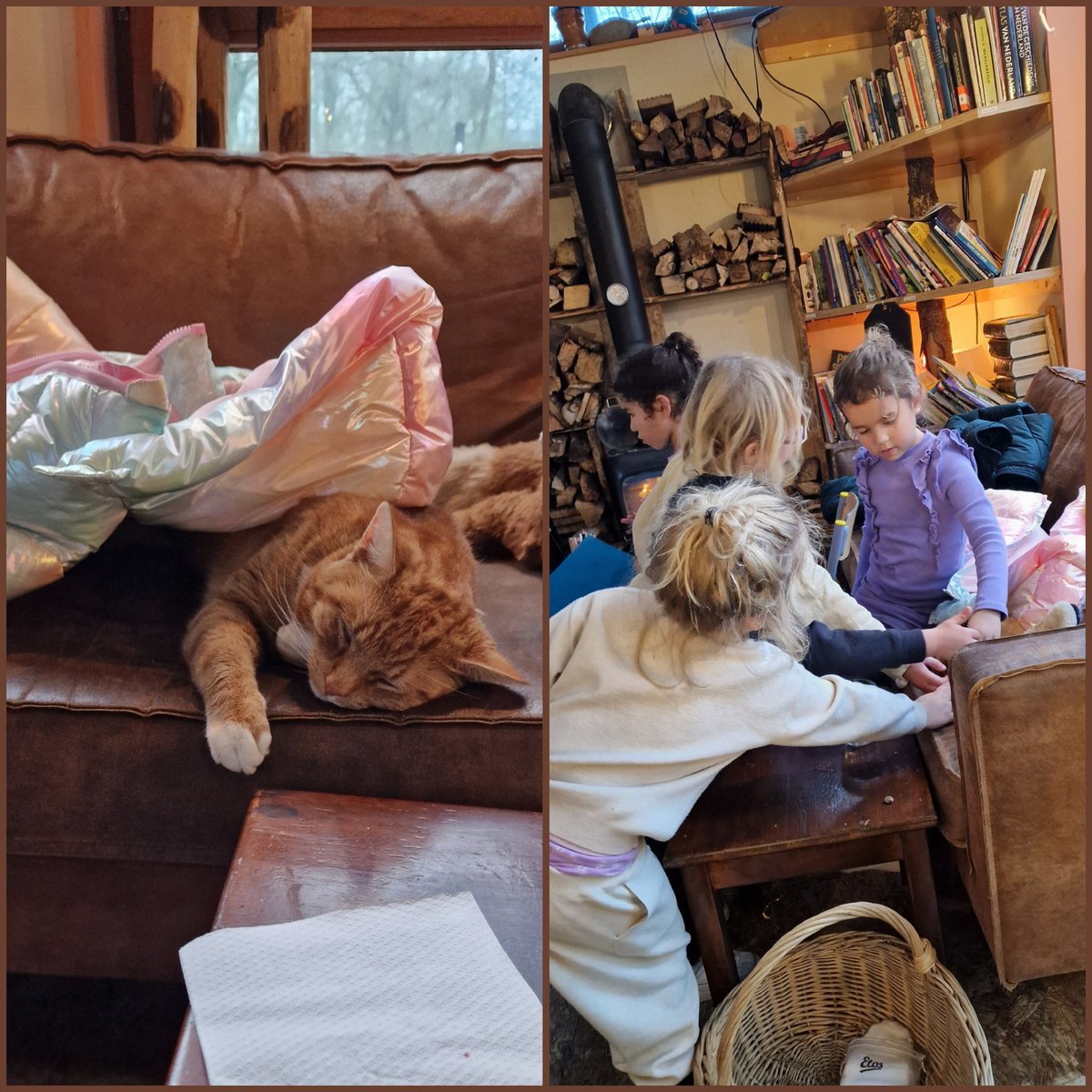 de Natureluur tweet media