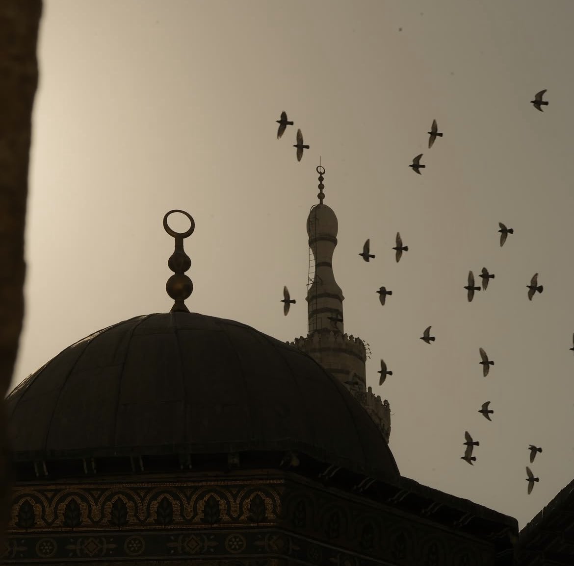 Syria after liberation
Photos : Belal Khaled