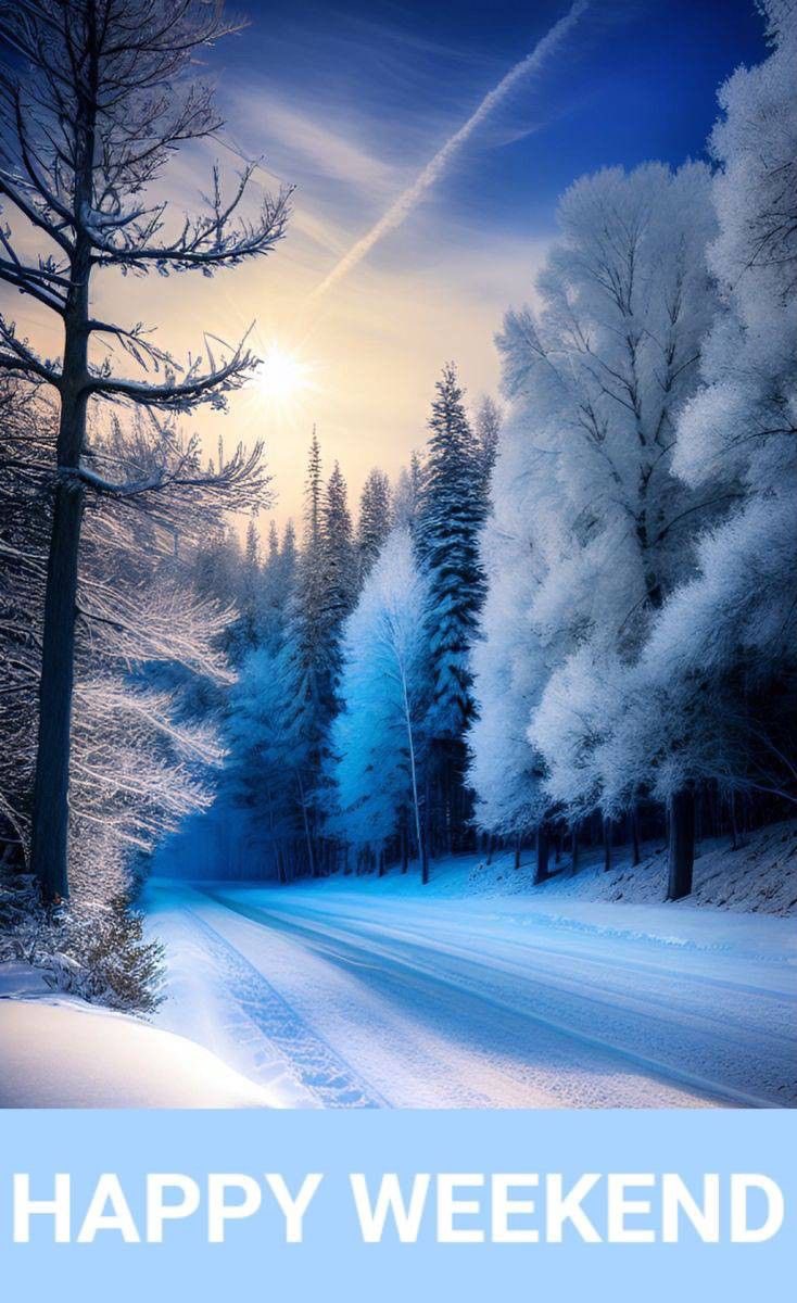 shakonini62's tweet image. Happy weekend my #TwitterFriends 🎄❄️💕🤍🥰👑🌹✝️☮️💟💙

#HappyWeekendVibes 
#JoyTrain
#PeaceAndLove 
#OurSavior 
#JesusIsKing