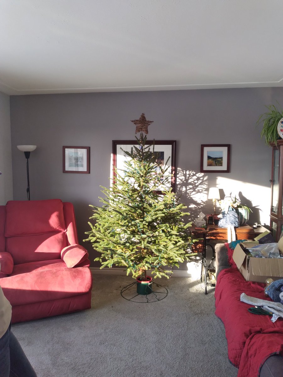 Danceandrevolt's tweet photo. Took a drive and found a nice spruce tree in the ditch. $0 works for me.
Spot where municipality usually brush hogs the R.O.W.. lovely.
Merry Christmas!! https://t.co/SiYj6x0d3F